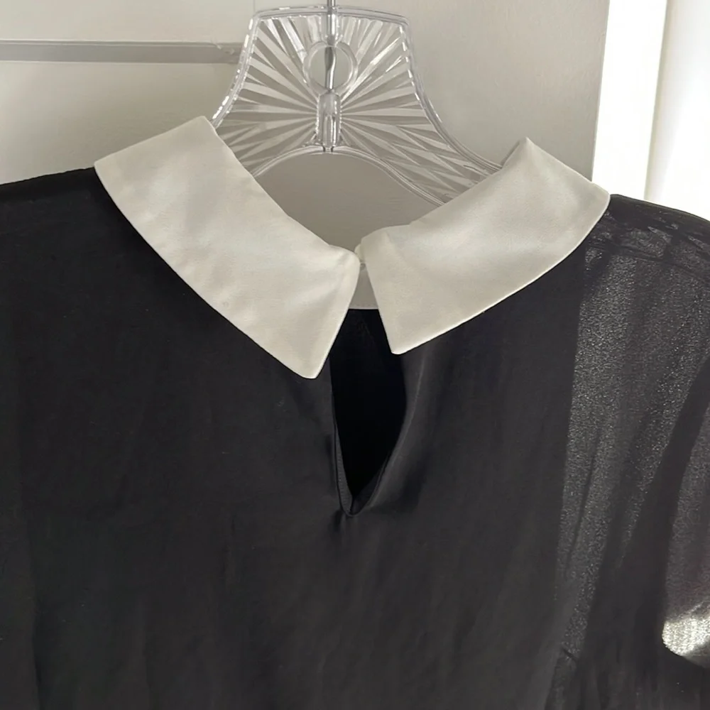 Collared Shirt - Picture 5 of 8
